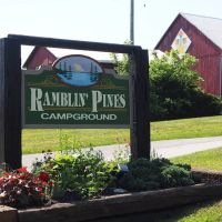 Ramblin' Pines ico