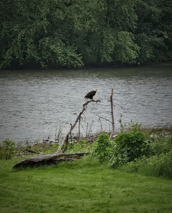 River Rock Camping & RV Park LLC. Picture 2