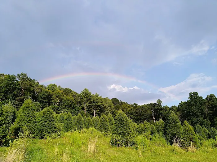 Conewago Campground Picture 10