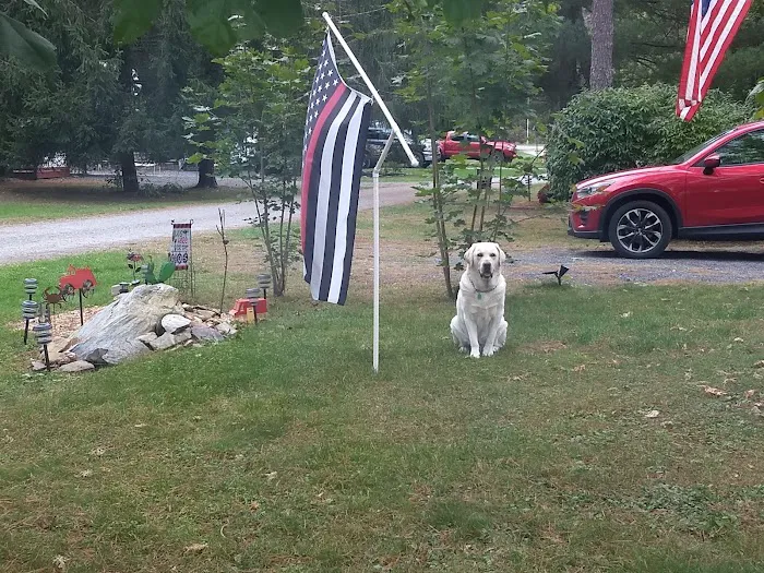 Conewago Campground Picture 4