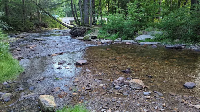 Conewago Campground Picture 8