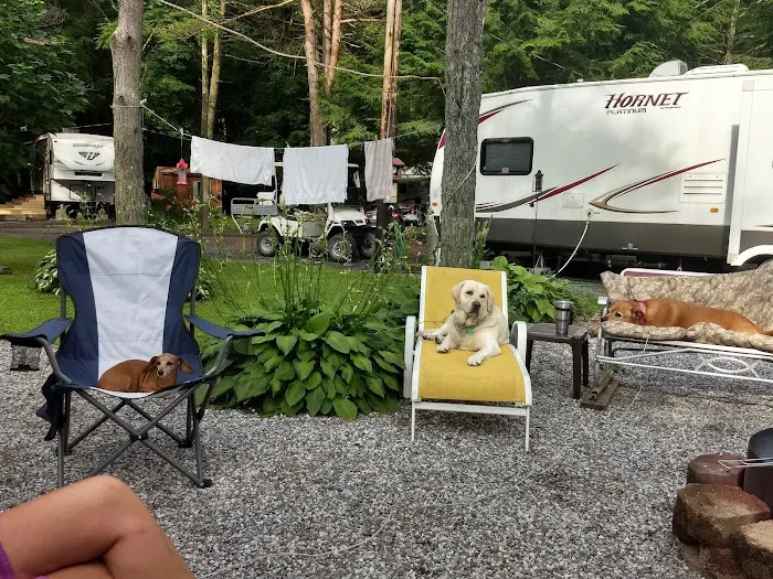 Conewago Campground Picture 3