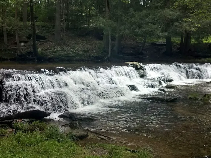 Conewago Campground Picture 2