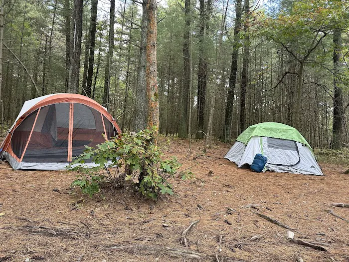 Primitive Campsite #10 Picture 4