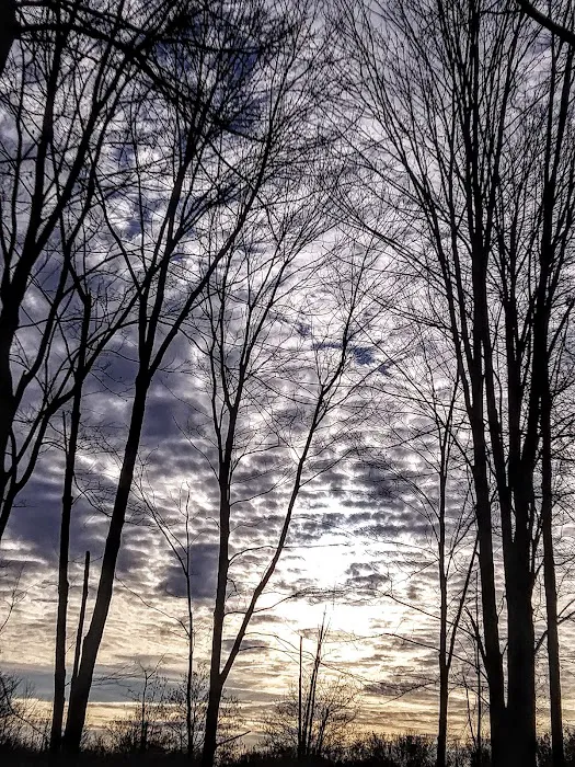 Lake Grove Park Picture 9