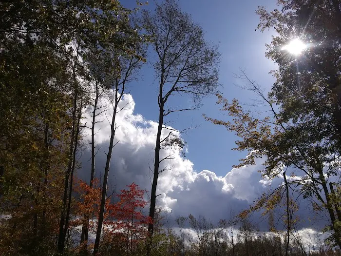 Lake Grove Park Picture 8