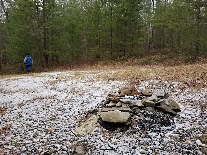Primitive Campsite #11 Picture 9