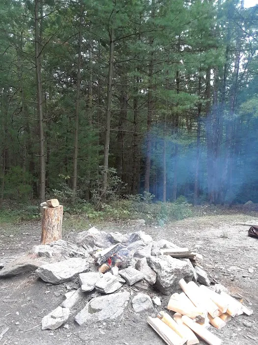 Primitive Campsite #11 Picture 6