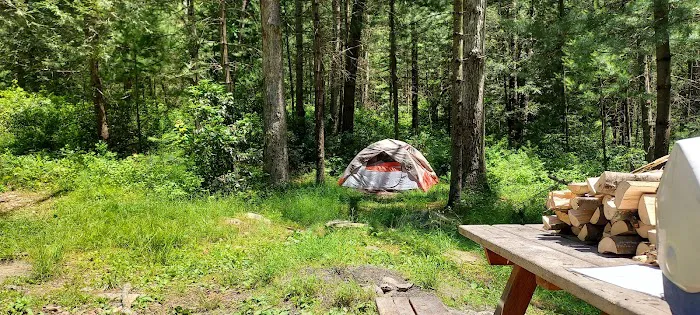 Primitive Campsite #11 Picture 3