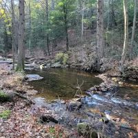 Campsite #88 ico