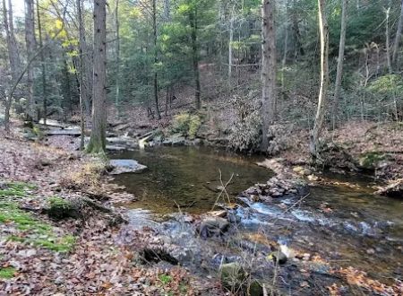 Campsite #88