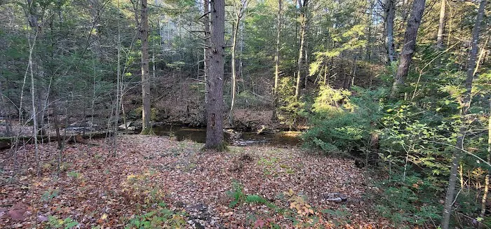 Campsite #88 Picture 4