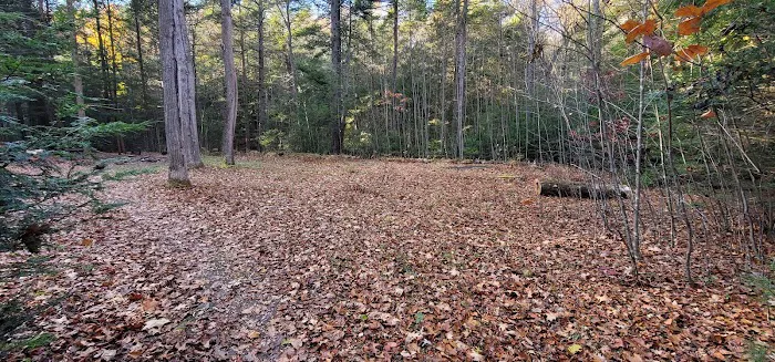 Campsite #88 Picture 2
