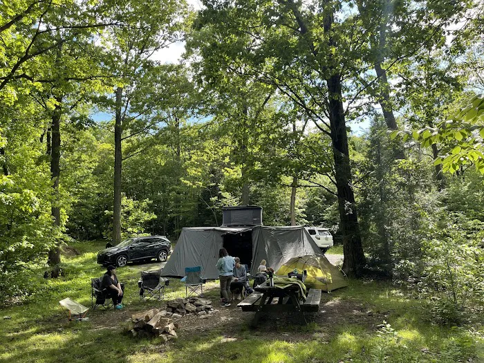 Campsite #86 Picture 4
