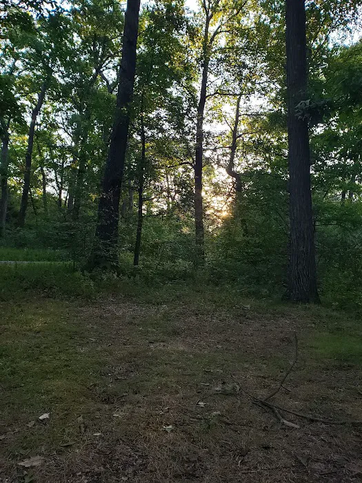 Campsite #86 Picture 2