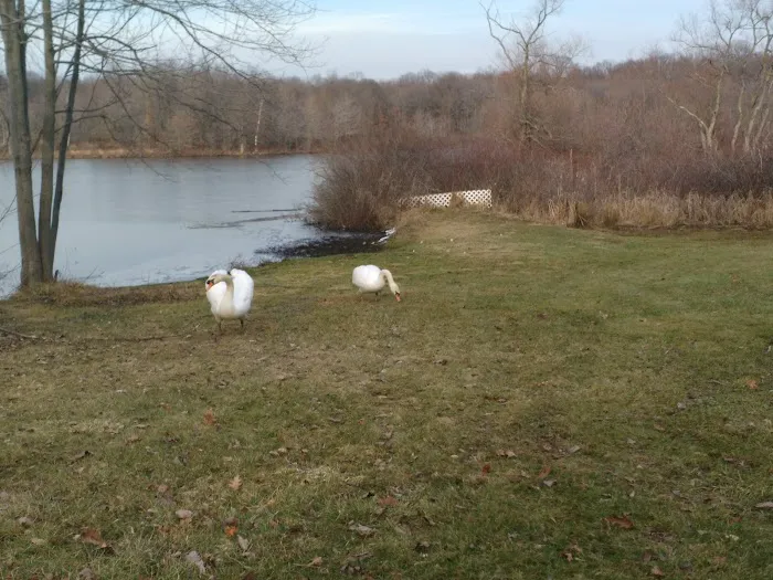 Glen Lake Estates Picture 8