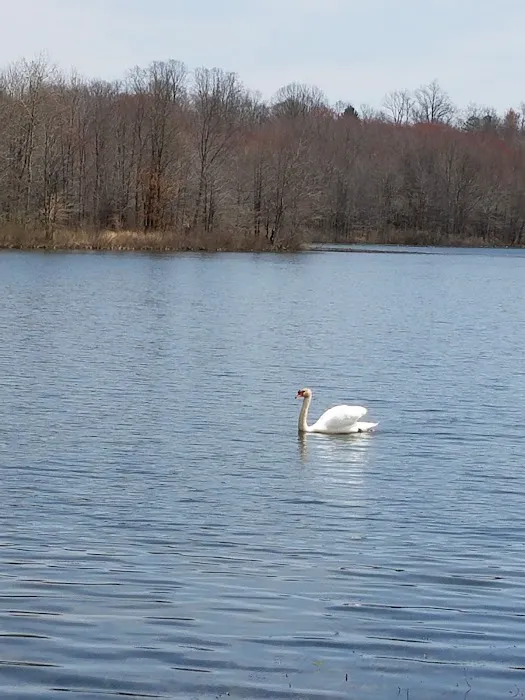 Glen Lake Estates Picture 1