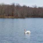 Glen Lake Estates