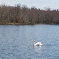 Glen Lake Estates ico