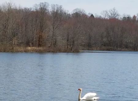 Glen Lake Estates