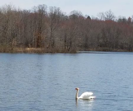 Glen Lake Estates