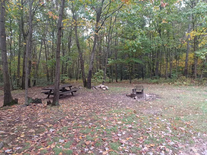 Campsite 81 Picture 4