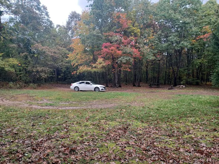 Campsite 81 Picture 5