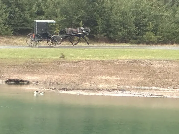 Lake Lucy RV Park Picture 2