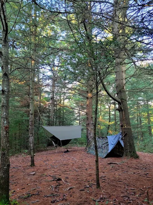 Primitive Campsite #12 Picture 3