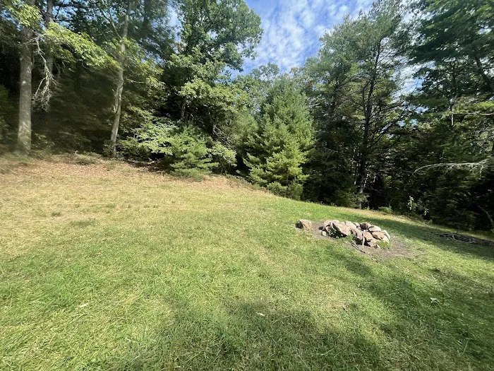 Primitive Campsite #12 Picture 6