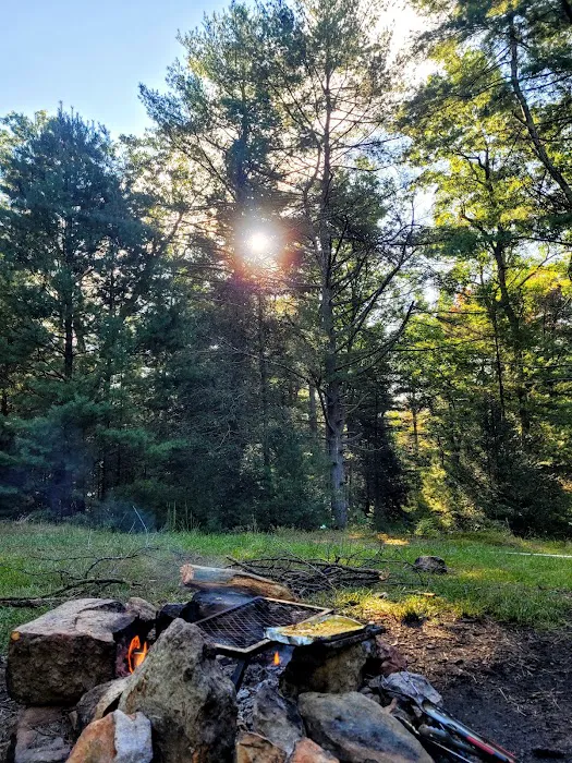 Primitive Campsite #12 Picture 5