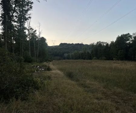 Primitive Campsite #12