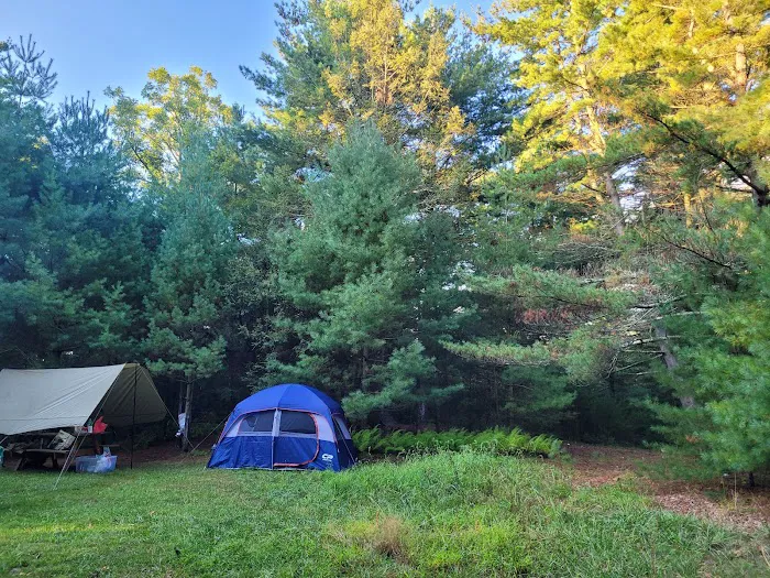 Primitive Campsite #12 Picture 2