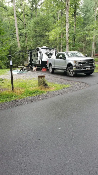 Hosack Run Campground Picture 7