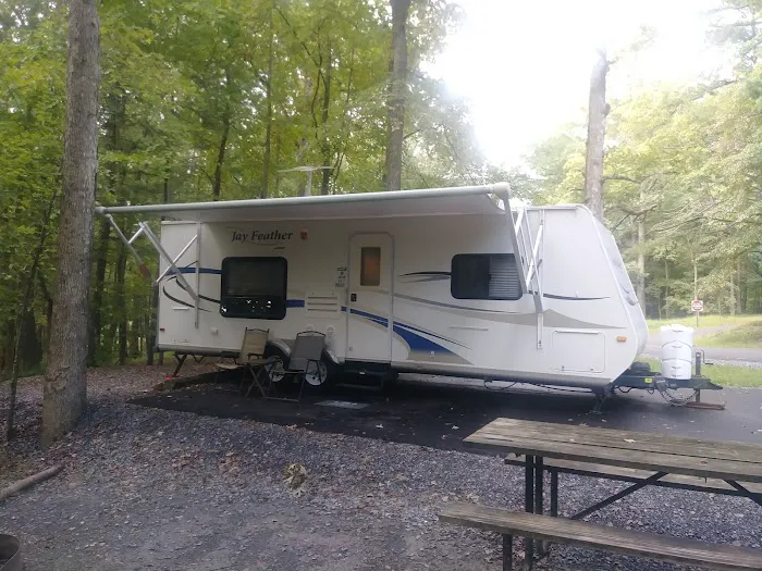 Chinquapin Hill Campground Picture 5