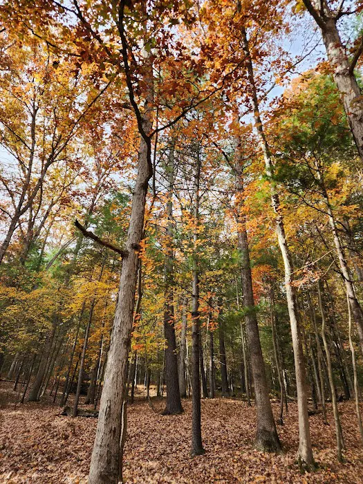 Chinquapin Hill Campground Picture 1