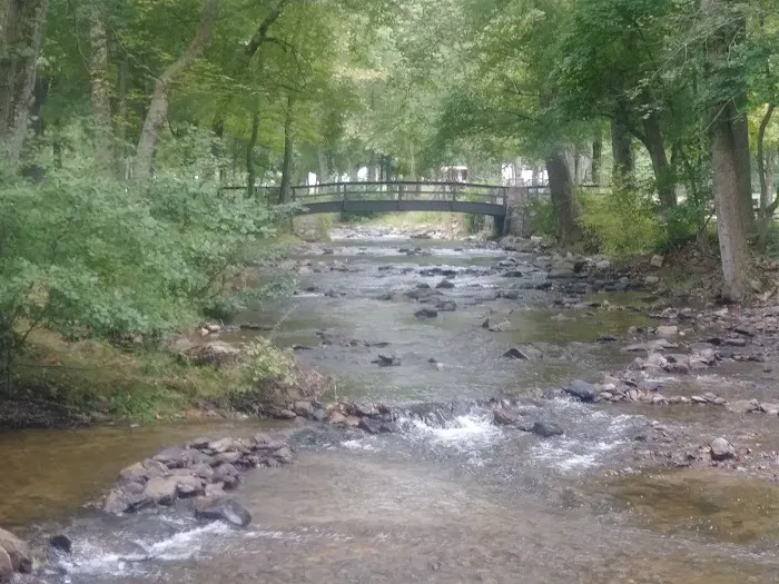 Chinquapin Hill Campground Picture 3