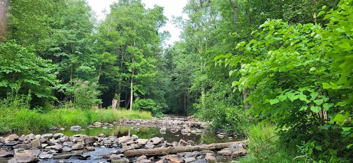 Chinquapin Hill Campground Picture 2
