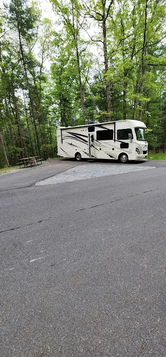 Chinquapin Hill Campground Picture 10
