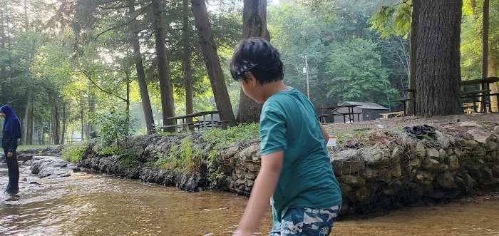 Chinquapin Hill Campground Picture 9