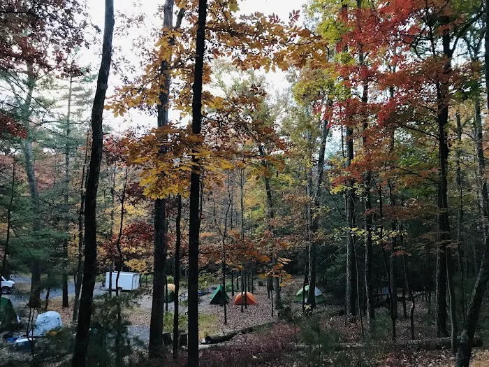 Chinquapin Hill Campground Picture 6