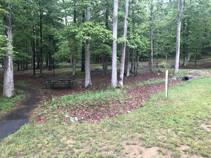 Chinquapin Hill Campground Picture 7