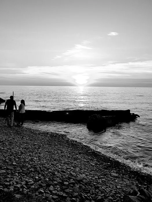 Driftwood Mobile Home Picture 5