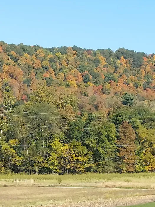 Robinson's Family Campground Picture 4