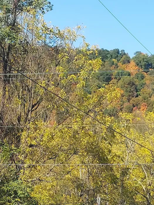 Robinson's Family Campground Picture 5