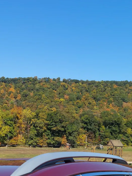Robinson's Family Campground Picture 3