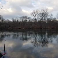River Lot ico