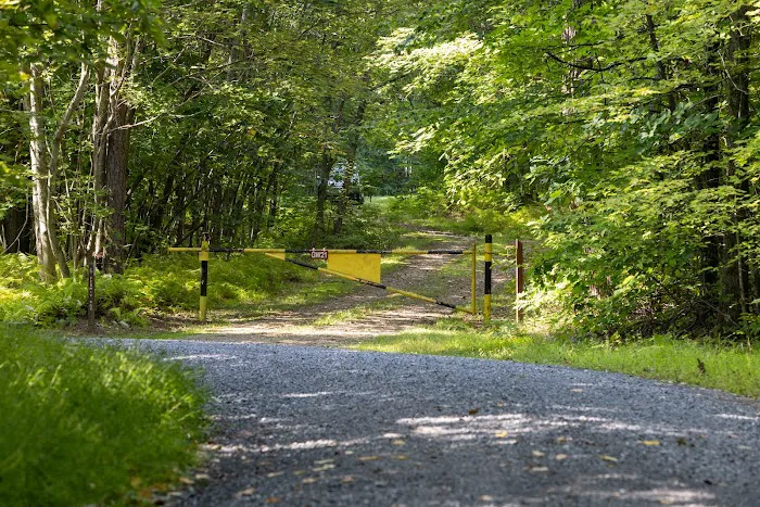 Rothrock State Forest Campsite #6 Picture 7