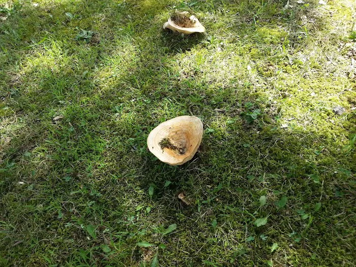 Brady Hills Mobile Home Park Picture 8