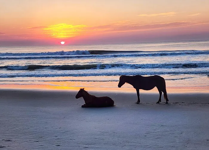 Assateague National Seashore Campground - Spot Bayside B33 Picture 6
